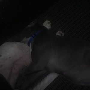 Meet your Posher, Nate